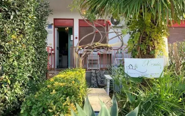 B&B Xenia