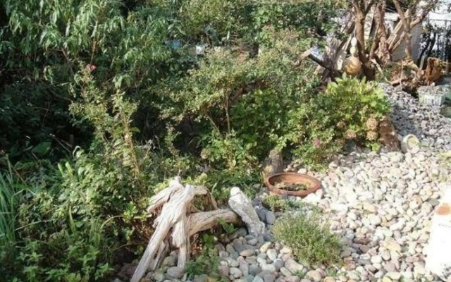 Minshuku Taharaya