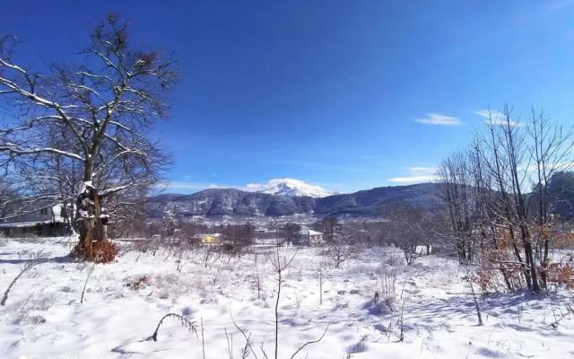Torrhebia Dag Evi