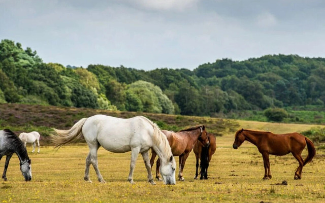Muhuhu - Luxury Apartment