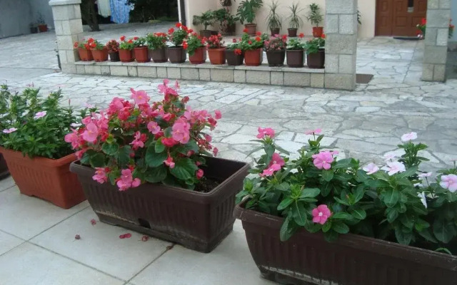 Guesthouse Vesna