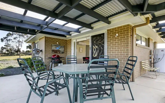 The Friendly Pelican