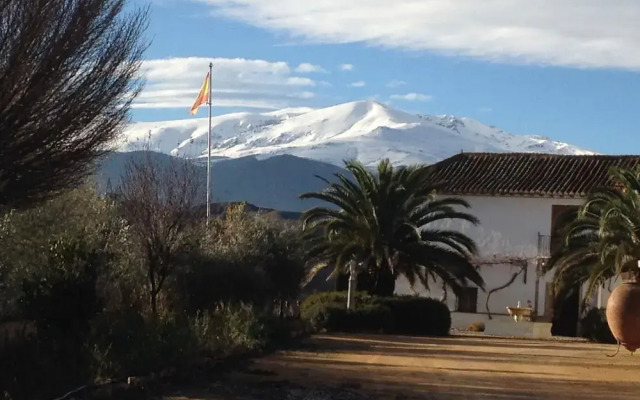 Almazara de Paulenca