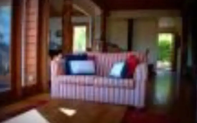 The Tree House