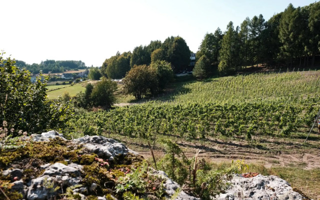 Poziom 511 Jura Wellness Hotel & Spa