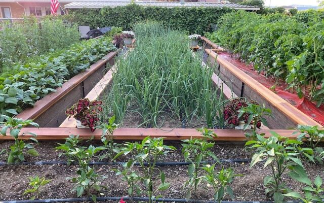 Horseshoe Bend Motel