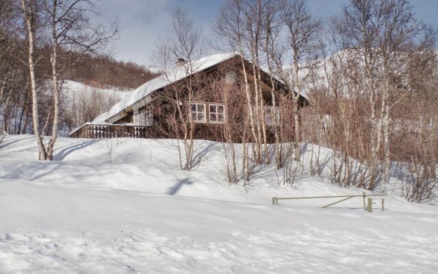 Amazing Home in Geilo With 5 Bedrooms