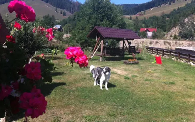 Bucovina Hills Guesthouse