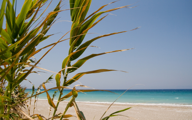 Asterias Bay-Theologos