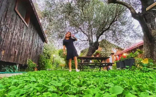 ZeytinDagi Bungalow Butik Otel