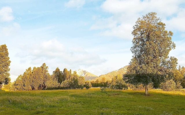 12 Person Holiday Home in Vikran