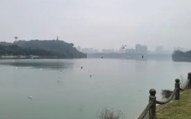 mianyang Filin Taohuadao Hotel