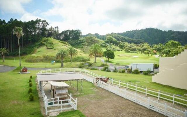 camel hotel resort