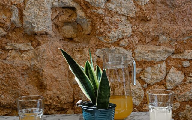 Leevin Guesthouse Faro