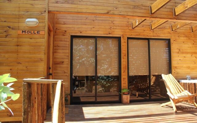 Lodge Bosques de San Jose