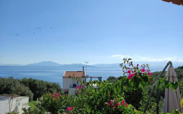 Seaside Boutique Villa