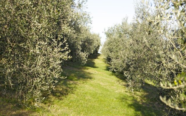 Agriturismo Marani