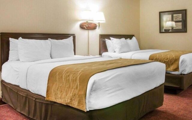 Canberra Premiere Comfort Hotel