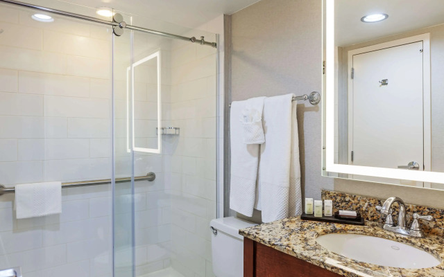Embassy Suites by Hilton Dallas Market Center