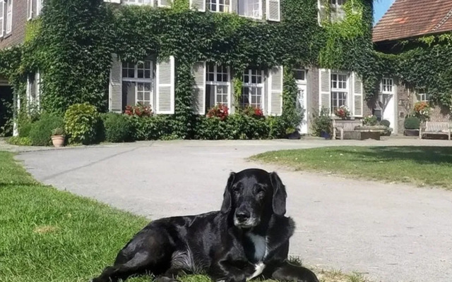 Ponyhof Georgenbruch