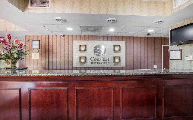 Comfort Inn And Suites Griffin