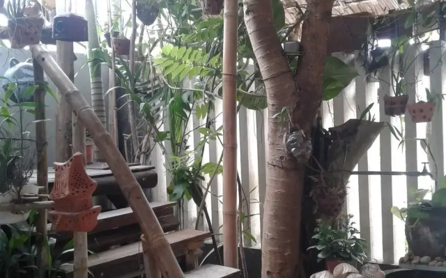 The Natural Bungalow