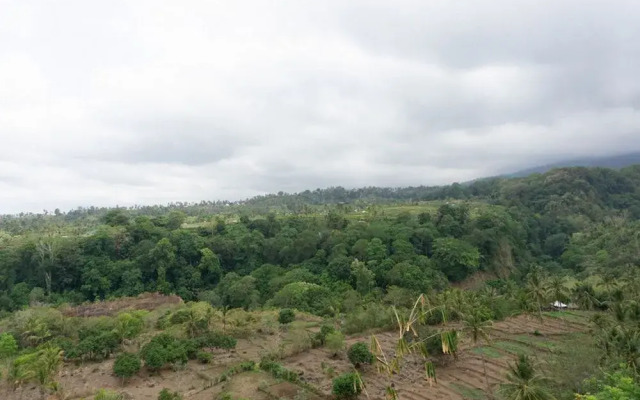RedDoorz near Senaru Rinjani