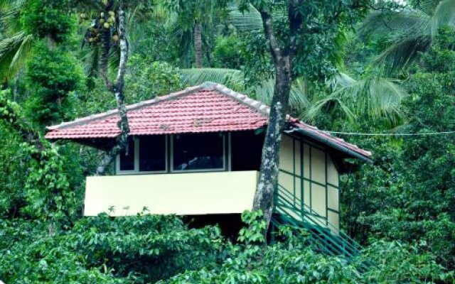 Blossom Home Stay