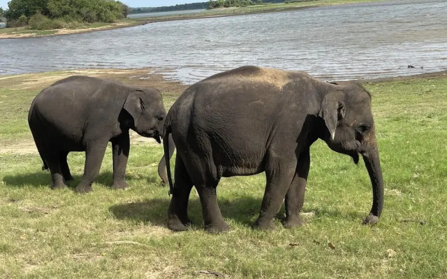 Sigiri Serenity Hostel