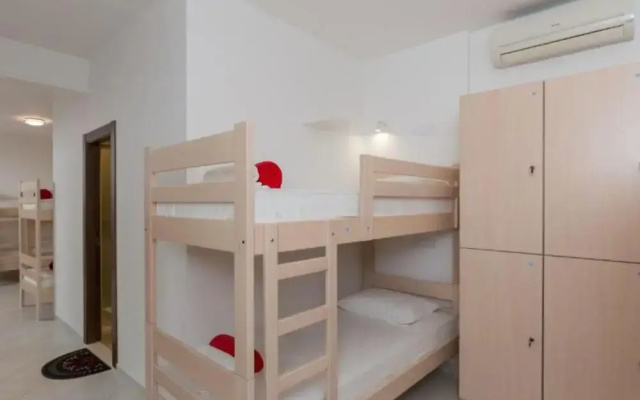 Hostel Free Bird