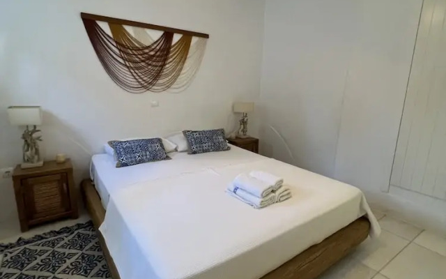 Luxurious Villa Oasis in Paros