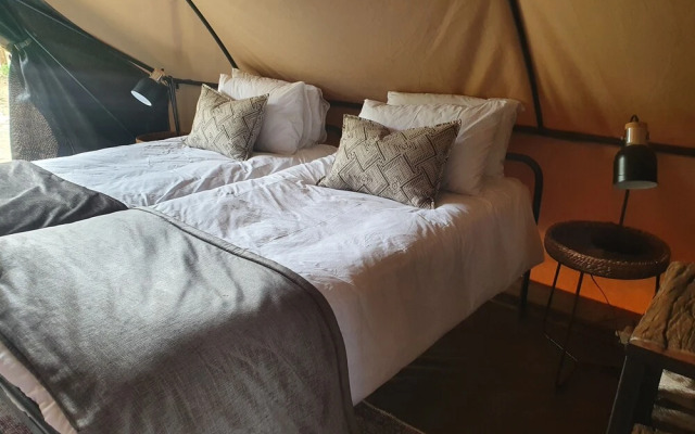 Bundox Explorer Camp