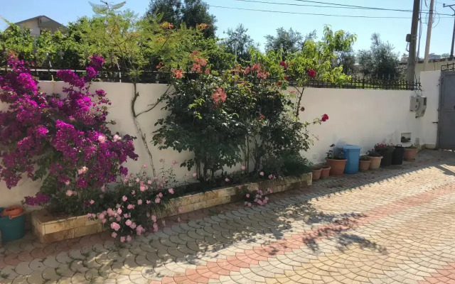 Guest House Pisha