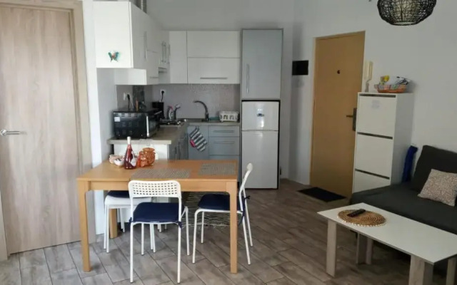 Apartamento Rosamar, 250 m from beach