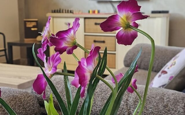 El jardín de las eras