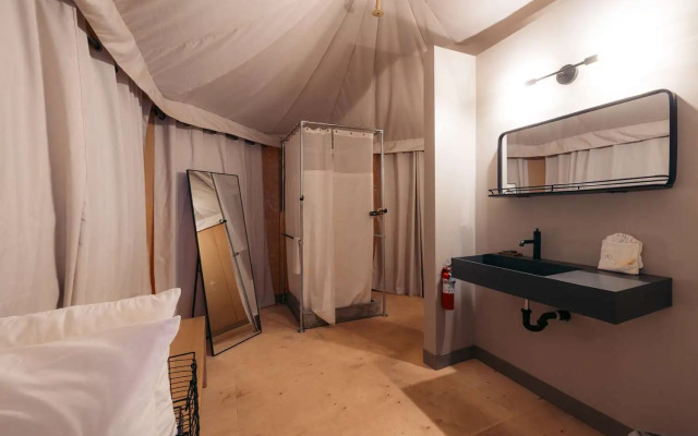 Zion Wildflower, BW Premier Collection