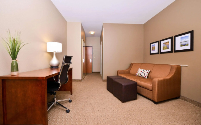 Comfort Suites Mount Vernon