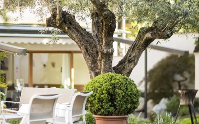 Boutique Hotel Zum Rosenbaum