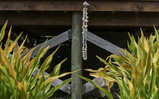 Rarotonga Villas