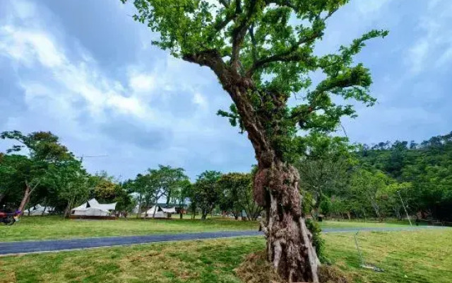 The Lake's Campground