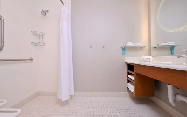 SpringHill Suites by Marriott Ashburn Dulles North