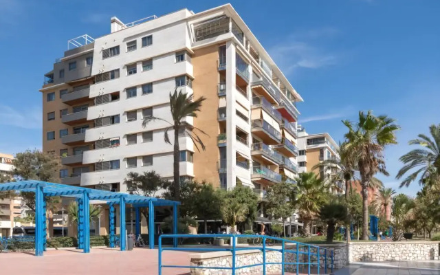 iloftmalaga Pacifico 41