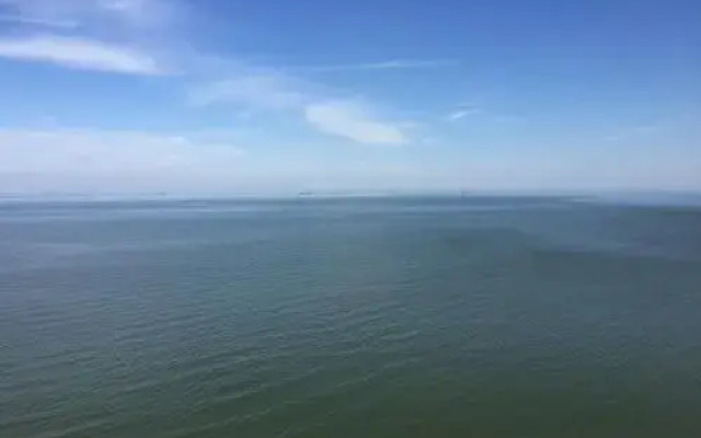 Guest House Svetlana