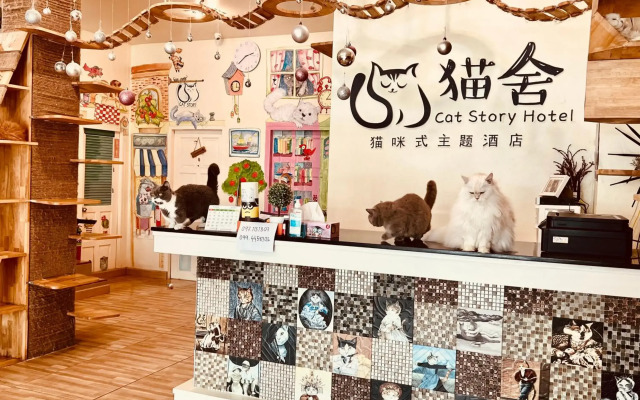 Cat Story Hotel