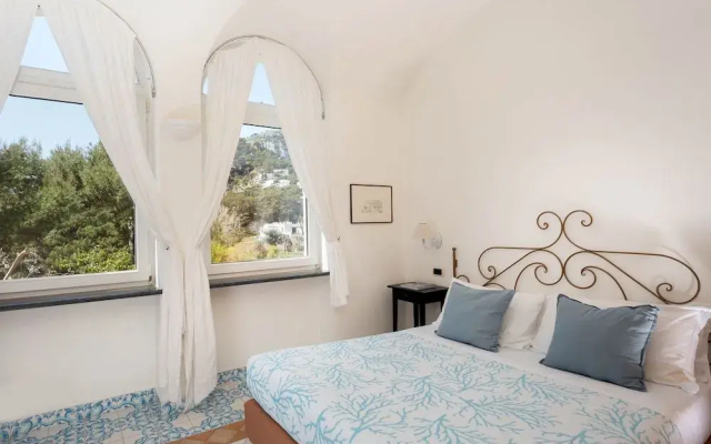 Oliveto Capri