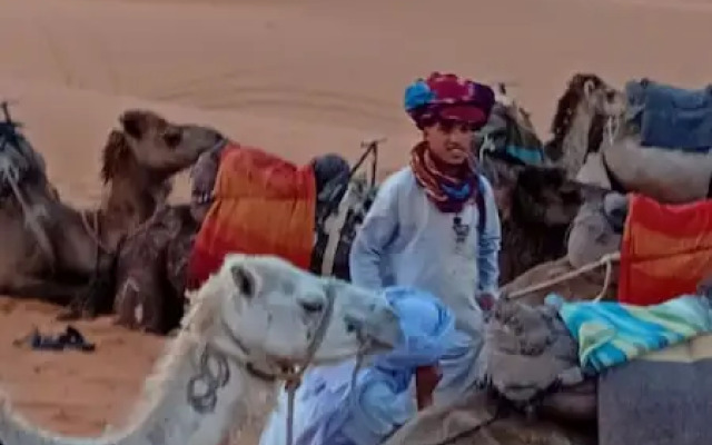 Sahara Camp Famille