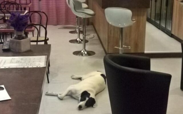 Hôtel Restaurant du Bearn