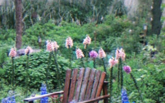 Xishan Haraju Vanilla Forest Wentang Meisu (Moganshan Resort)