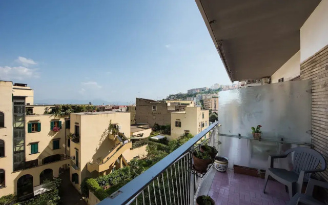 Panorama Vesuvius Central