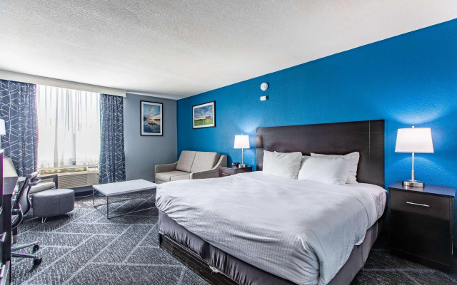Best Western Rochester Hotel Mayo Clinic Area/St. Mary's
